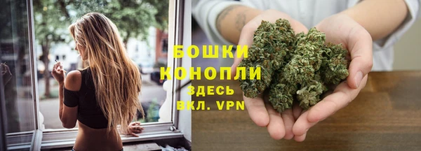 соль ск Гусев