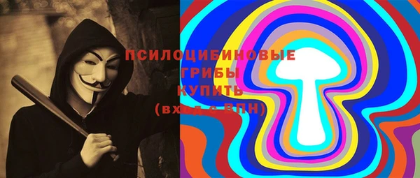 метадон Алексин
