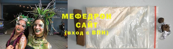 индика Гусиноозёрск