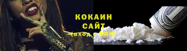 метадон Алексин