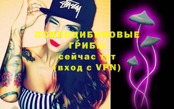 спиды Алексеевка