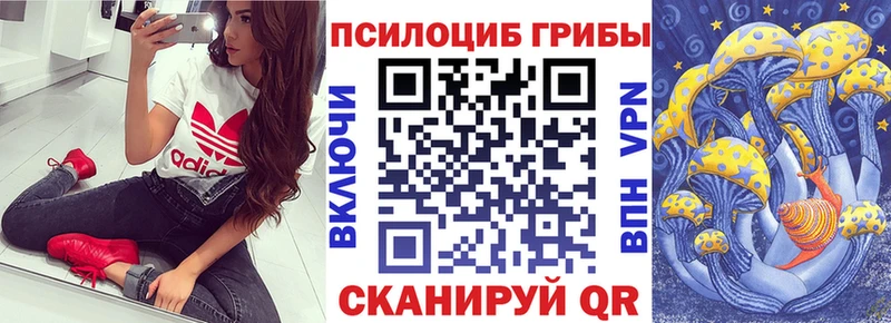 blacksprut зеркало  Елабуга  Псилоцибиновые грибы Magic Shrooms 