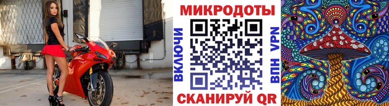 Галлюциногенные грибы Cubensis Елабуга