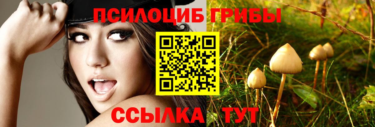 Елабуга  Псилоцибиновые грибы MAGIC MUSHROOMS  Вход с VPN 